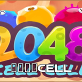 2048Cell